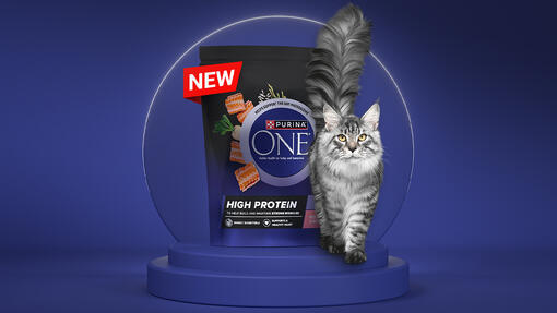 Purina ONE high protein product and cat