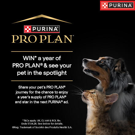 Pro Plan WIN a year of Pro Plan & see your pet in the spotlight