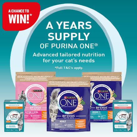 A chance to win a years supply of Purina ONE