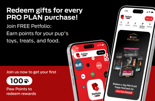 Redeem gifts for every PRO PLAN purchase!
