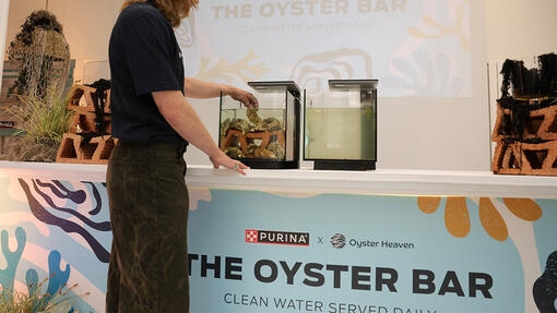 The Oyster bar at Purina event