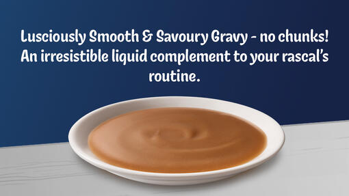 Lusciously Smooth & Savoury Gravy - no chunks!