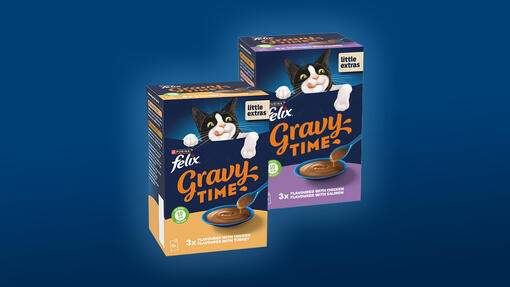 Gravy Time products