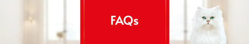 FAQs