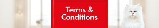 Terms & Conditions