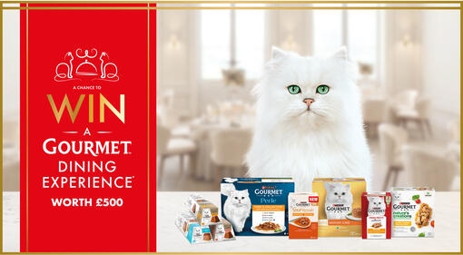 A chance to WIN a Gourmet dining experience* worth £500