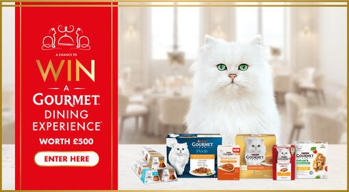 A chance to WIN a Gourmet dining experience* worth £500