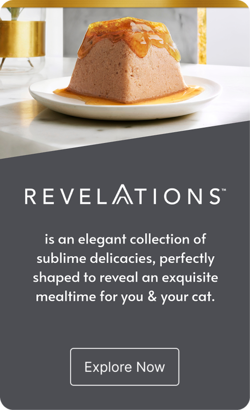 Gourmet promo