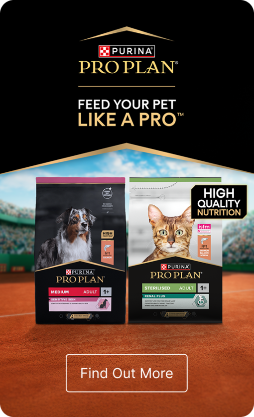 Pro Plan Promo