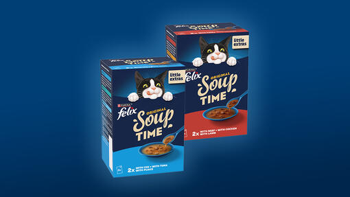 Felix Soup Time products