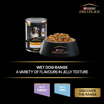 Wet dog range