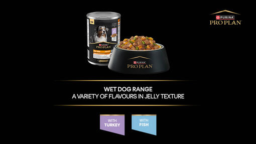 Wet dog range