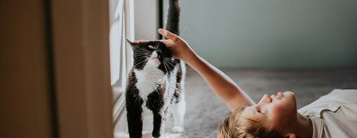 Child lying on a carpet pets a black-and-white cat beside a sunlit window