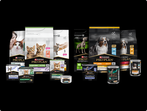 Pro Plan image