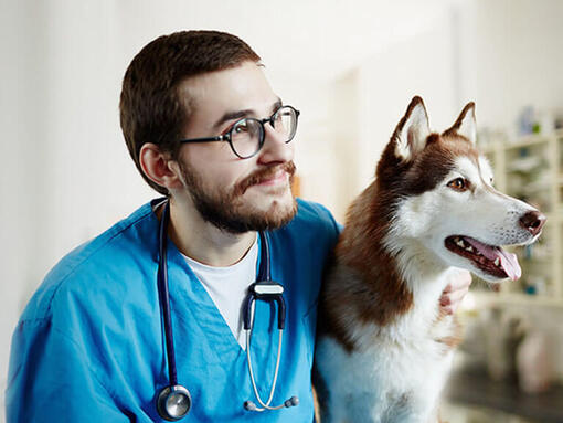 INNOVATE PET NUTRITION AND SOURCE INGREDIENTS FROM FARMERS ADOPTING REGENERATIVE PRACTICES