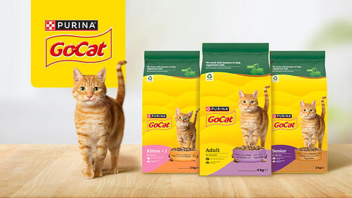 Go-Cat products next to a ginger cat