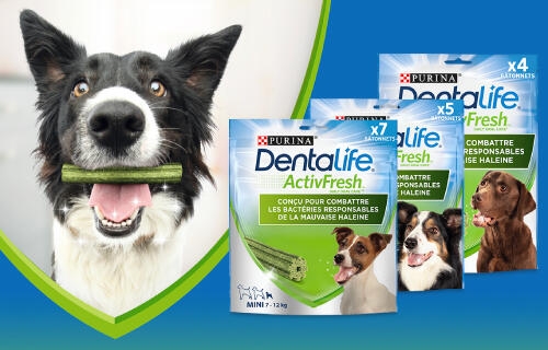 PURINA® Dentalife® ActivFresh