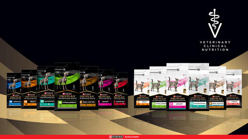 PPVD product range