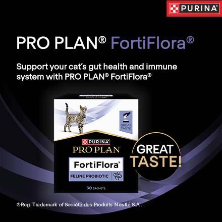 Pro Plan Fortiflora banner