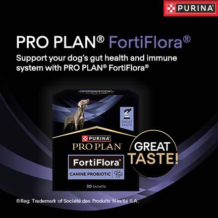 Pro Plan Fortiflora banner