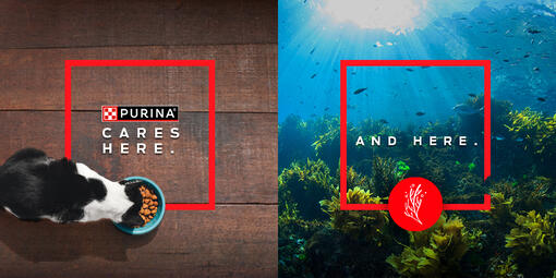 Purina Cares here and here