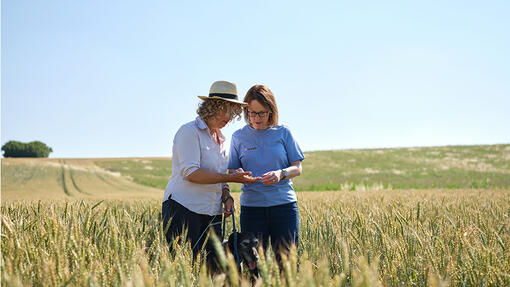Claire Donkin (farmer) with Claire Robertson (Purina) examining crop and soi