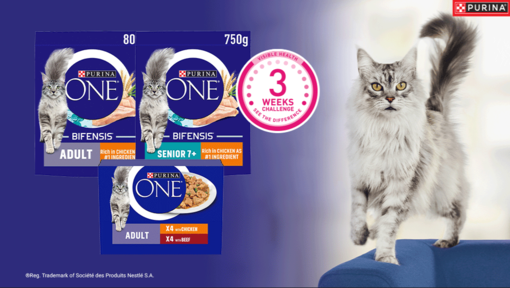 Purina ONE 3 week challenge with cat and pack shots