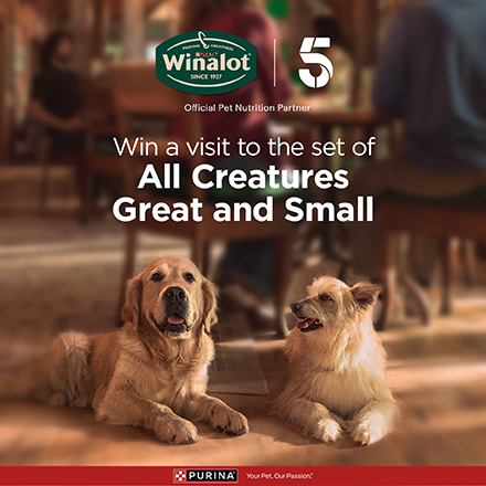 Winalot - win a visit to the set of all creatures great and small