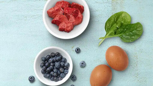 Every ingredient has a purpose