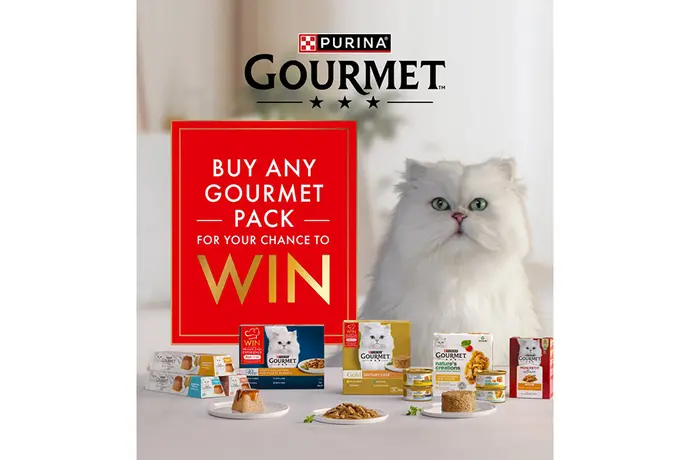 gourmet