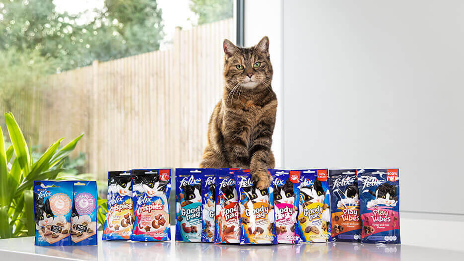 Cat Treats Cat standing behind dry cat food.
