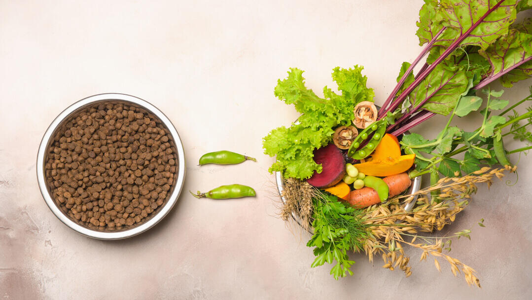 Dry food and vegetables