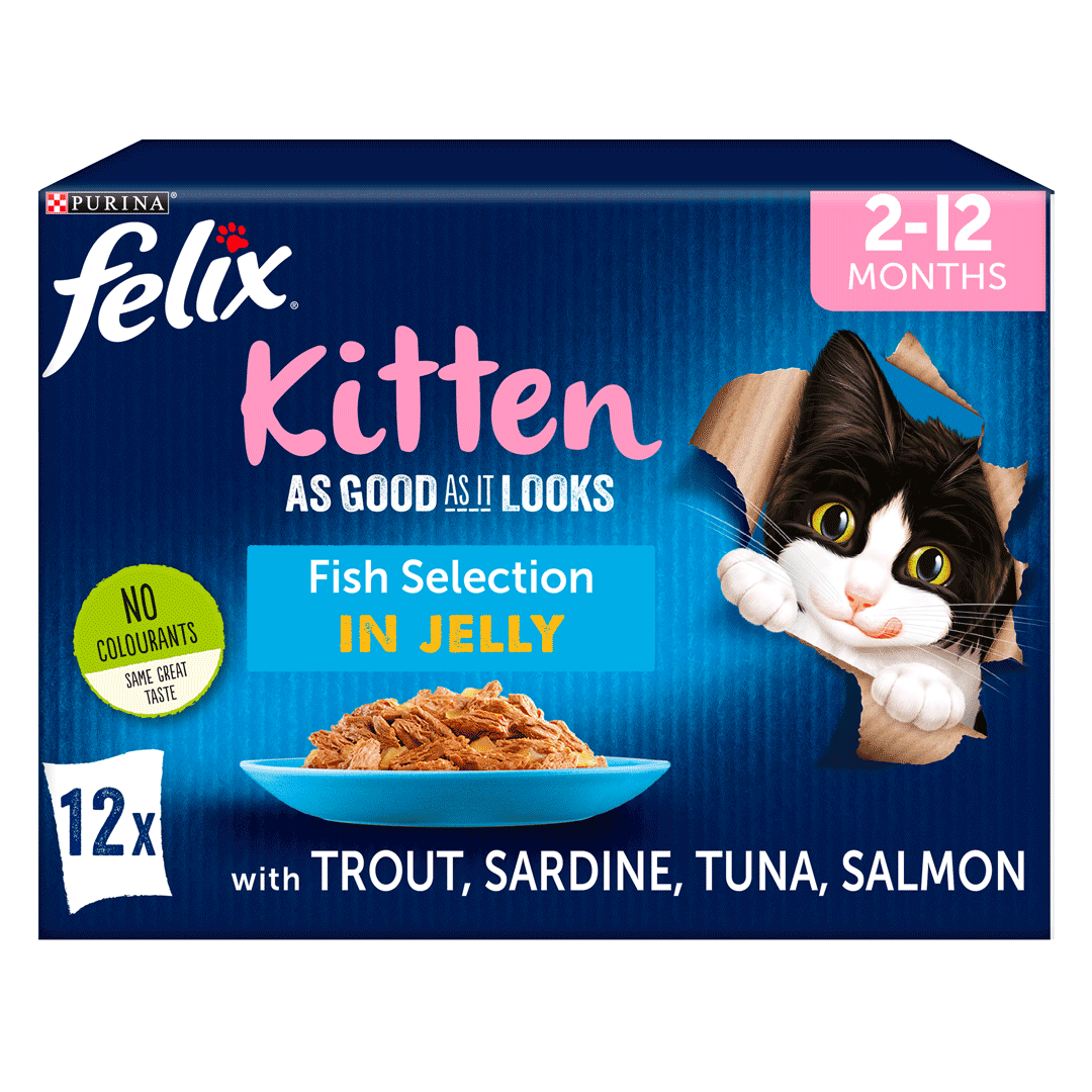 FELIX® As Good As it Looks Kitten Fish Selection in Jelly Wet Cat Food