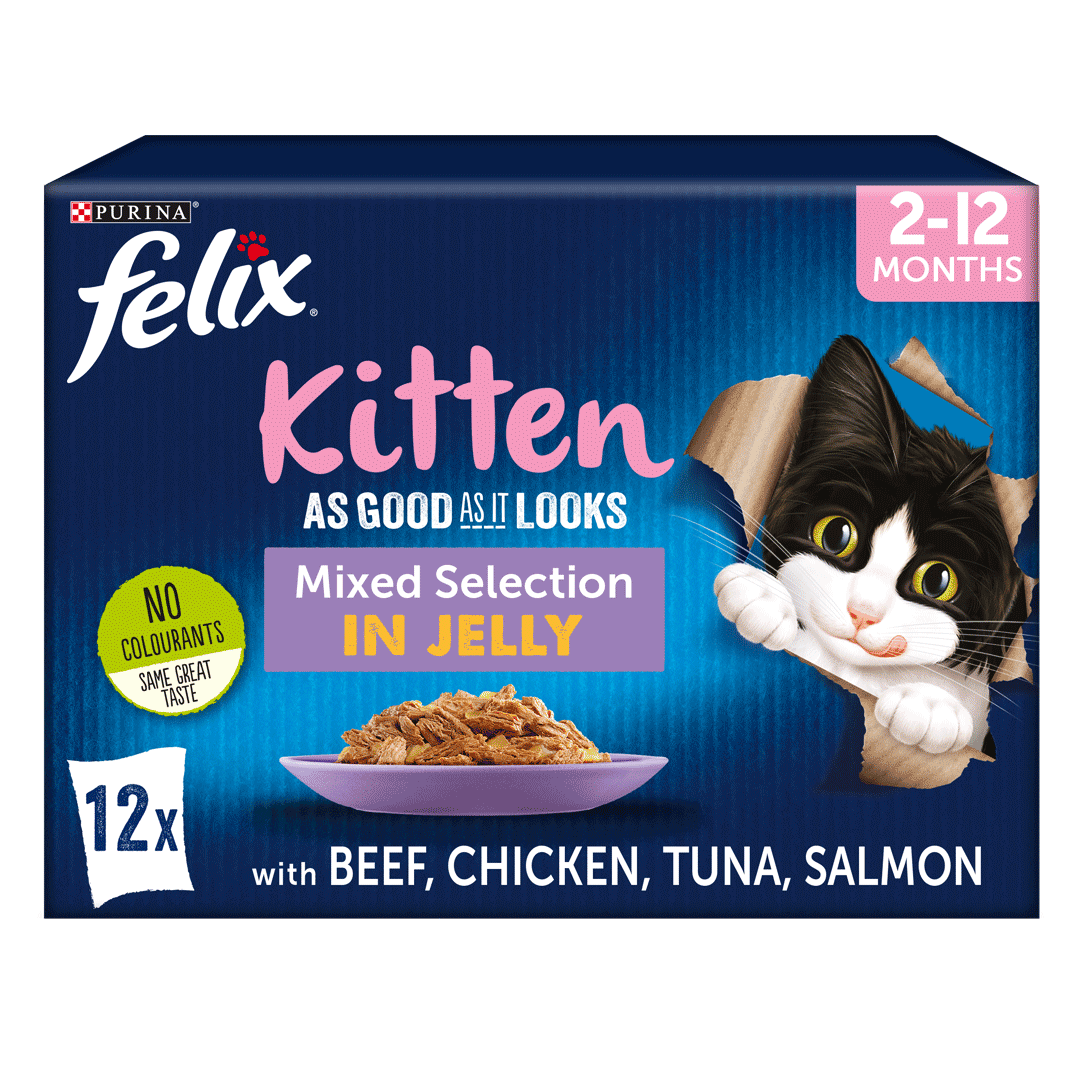 FELIX® As Good As it Looks Kitten Mixed Selection in Jelly Wet Cat Food