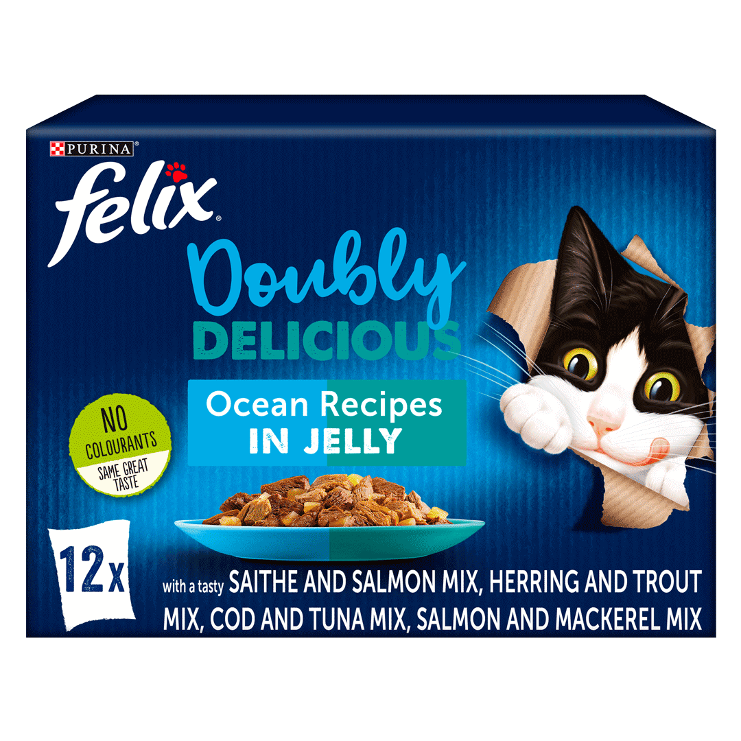 FELIX® Doubly Delicious Ocean Recipes Wet Cat Food