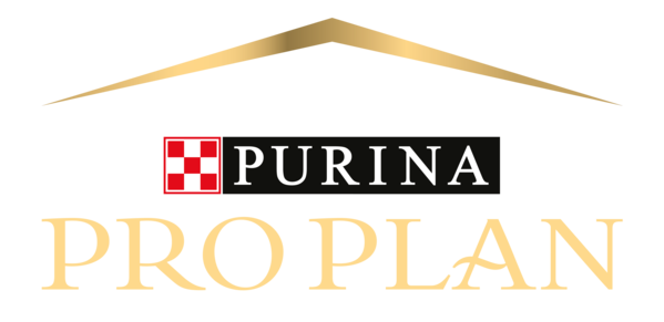 Pro Plan Logo Pro Plan Logo