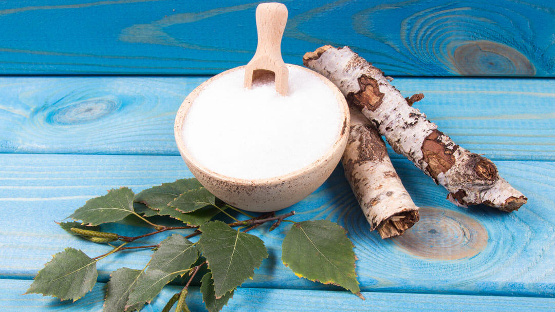 Xylitol Poisoning in Dogs