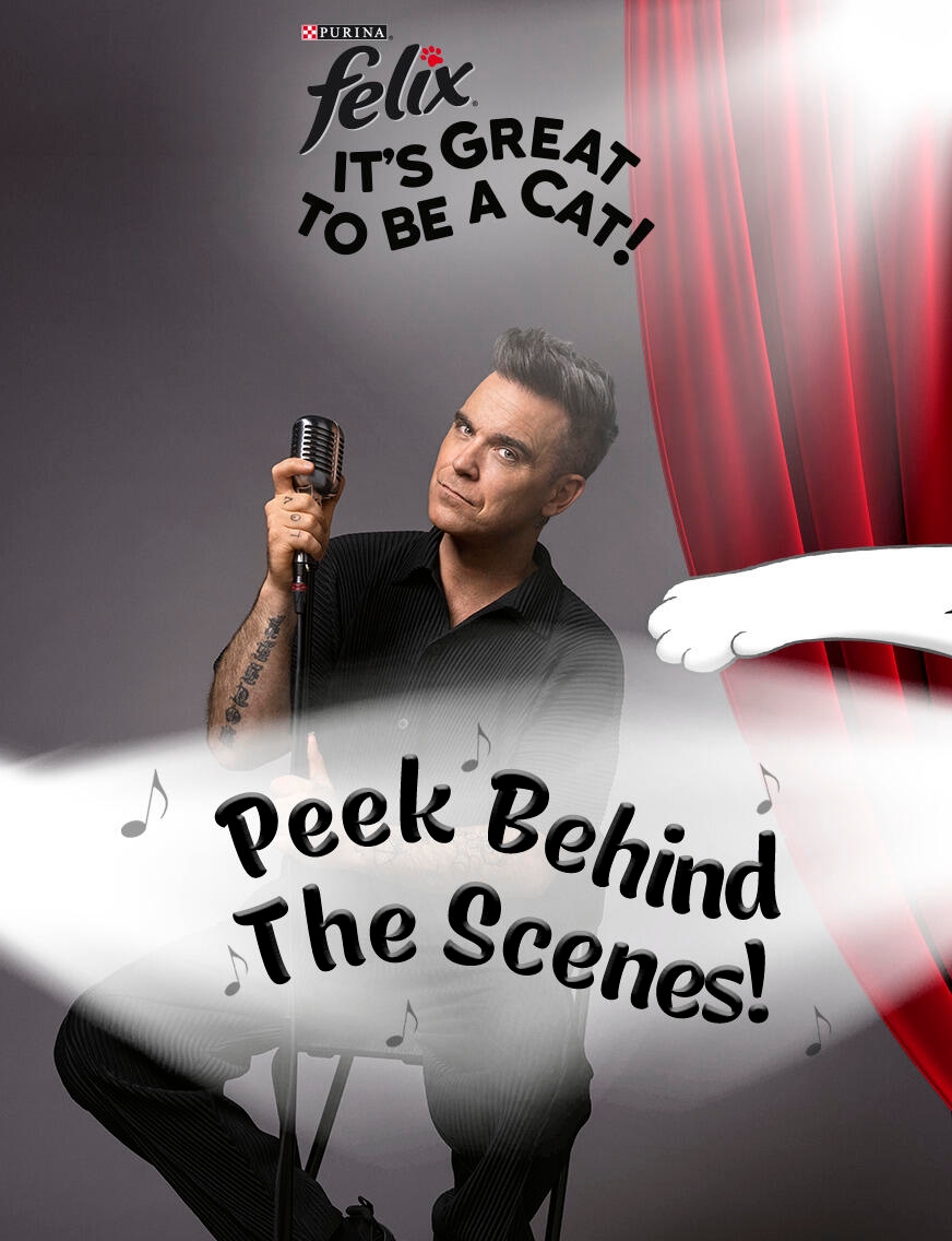Robbie singing behind curtain