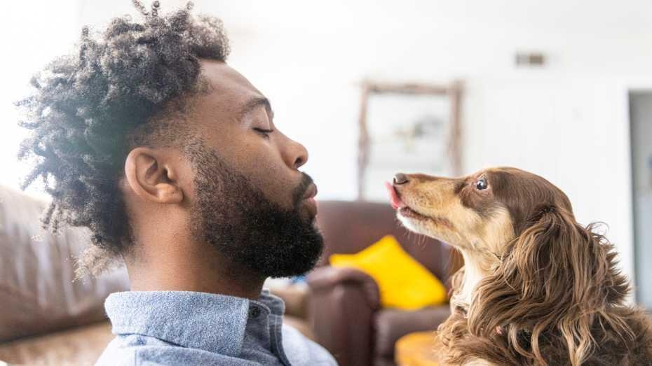 Man and his dog embracing eye contact Man and his dog embracing eye contact