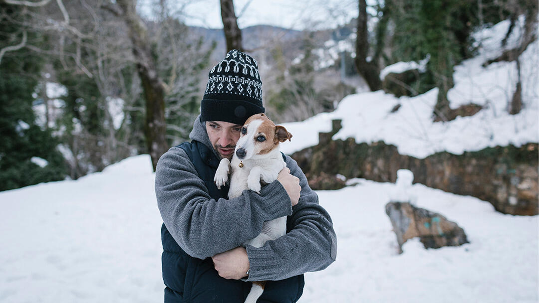 Do Dogs Get Cold?
