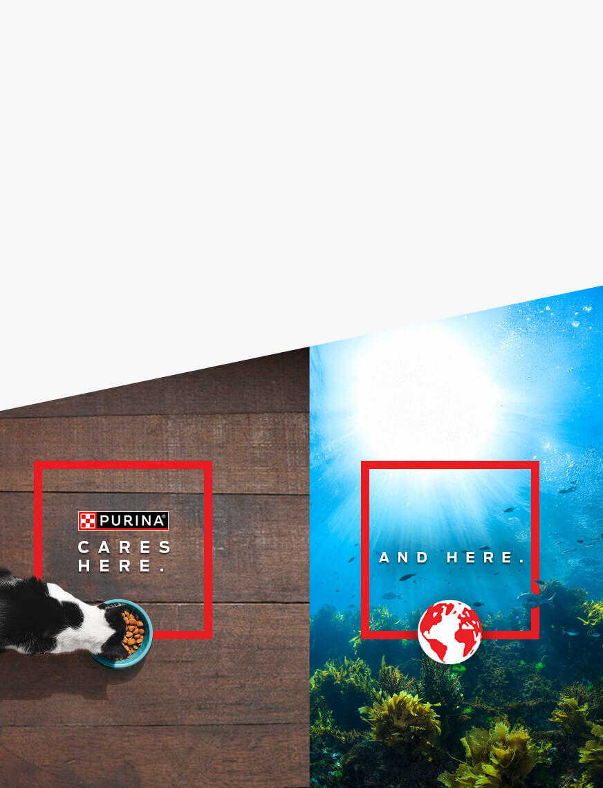 Purina cares