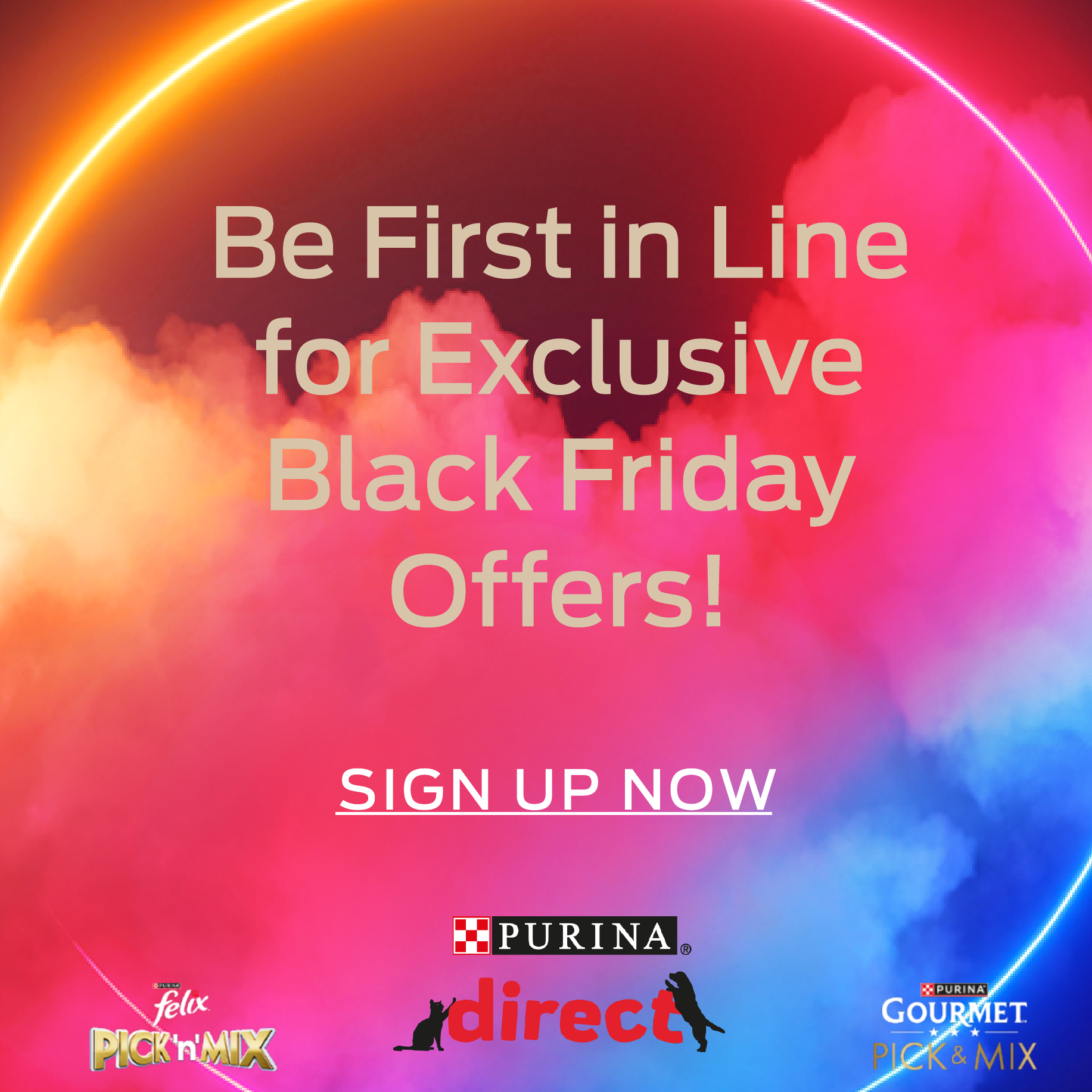 Be first in line for exclusive Black Friday offers! sign up now