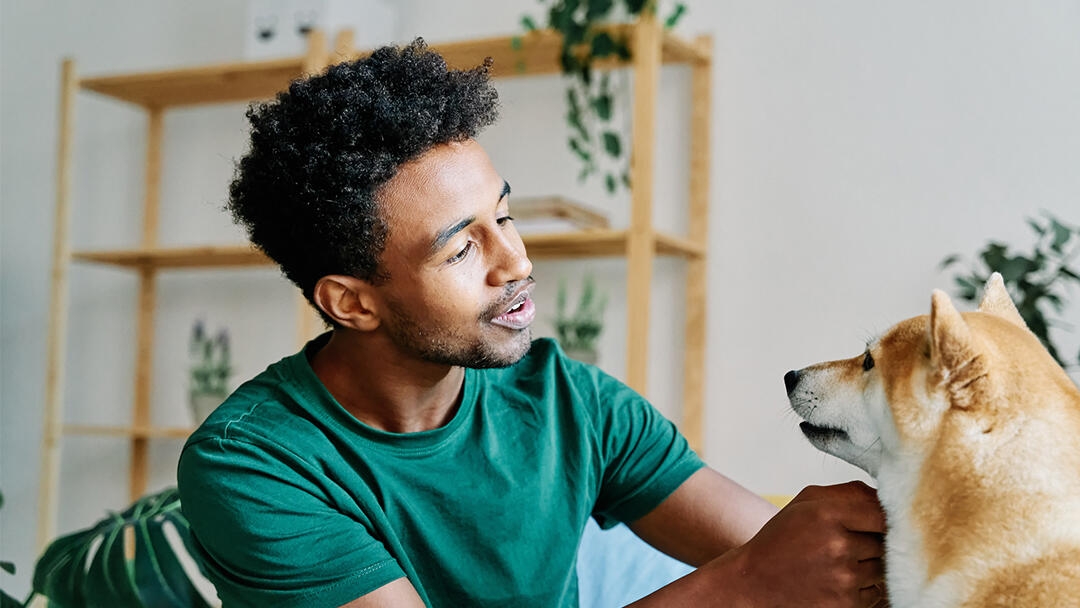 How to teach a dog to speak teaser