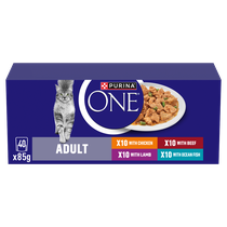 PURINA ONE® Mini Fillets Mixed Selection in Gravy Wet Cat Food