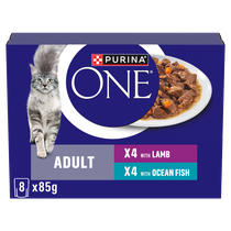PURINA ONE® Mini Fillets Ocean Fish and Lamb Wet Cat Food