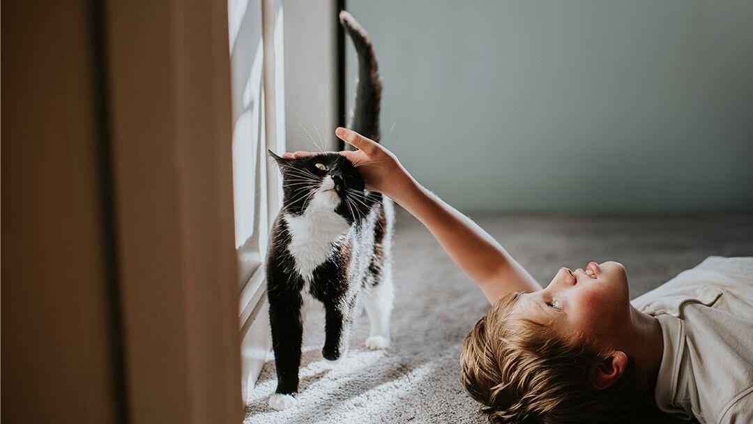 Child lying on a carpet pets a black-and-white cat beside a sunlit window
