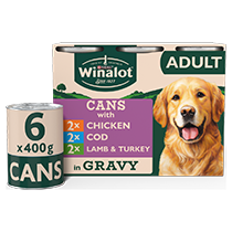 WINALOT® Cod in Gravy Wet Dog Food