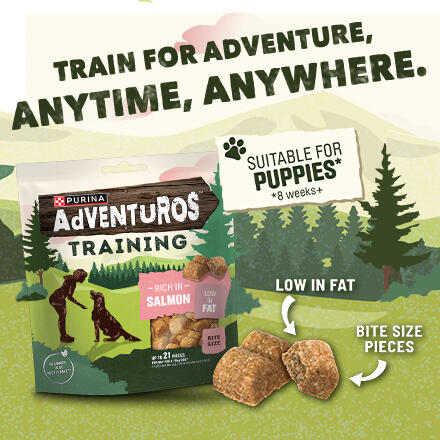 Train for Adventure, Anytime, Anywhere