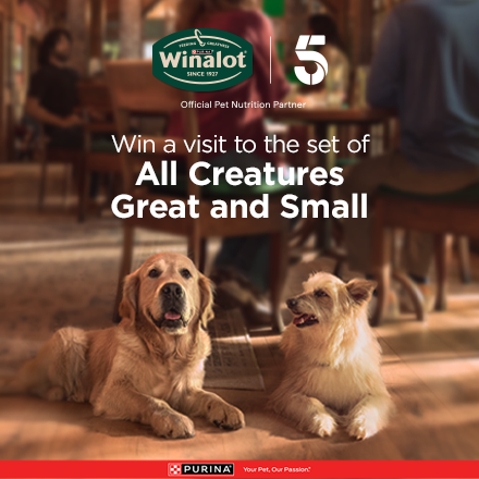 Winalot Win a visit to the set of All Creatures Great and Small