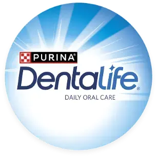 Dentalife